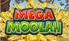 Slots - Mega Moolah Jackpot Netwerk