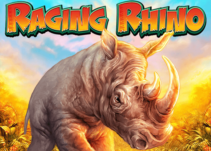 Raging-Rhino-WMS