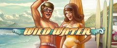Slots - Wild Water