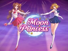 Slots - moon princess slot play n go