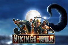Slots - Vikings go wild gokkast