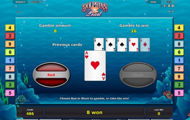 Dolphin's Pearl slot Gamble Feature