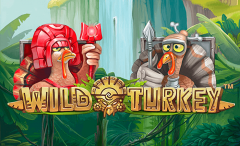 Slots - Wild Turkey NetEnt
