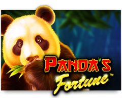 panda-s-fortune-slot