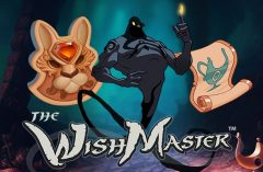 Slots - wish-master-gokkast netent