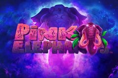 Slots - Pink elephants slot review