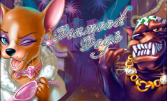 Slots - Diamond Dogs - Online Slot Review