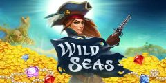 Slots - wild-seas-elk-studios