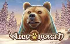 Slots - Wild-North gokkast logo