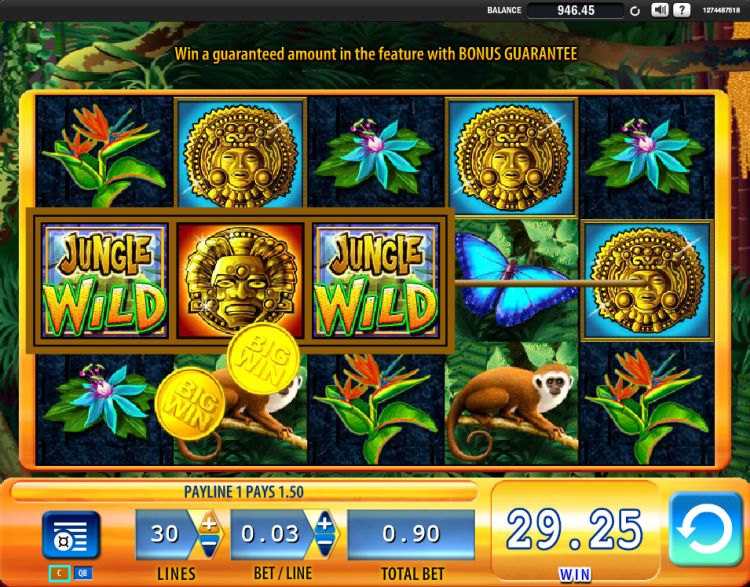 Jungle Wild WMS online gokkast review