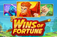 Slots - wins-of-fortune-slot review