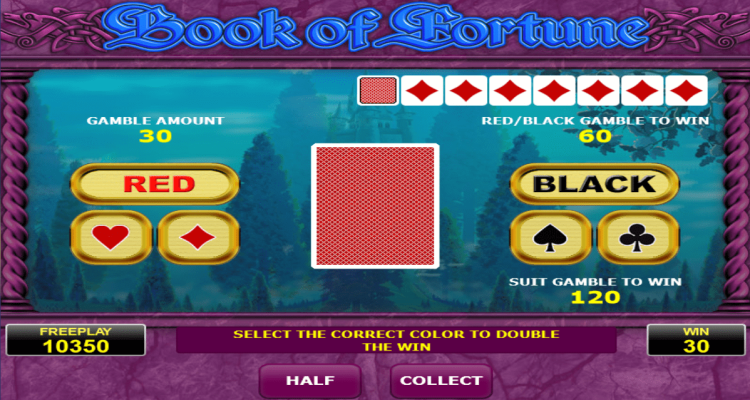 Book of Fortune slot Gamble Feature