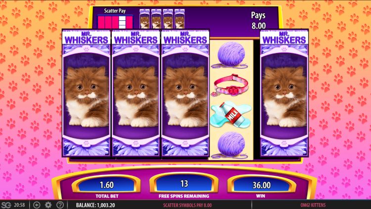 OMG Kittens online gokkast review