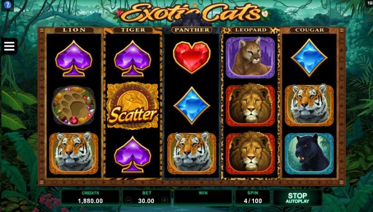 Exotic Cats online gokkast review