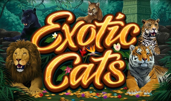 MicroGaming - Exotic Cats logo