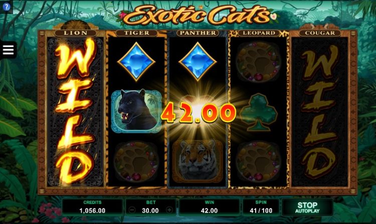 Exotic Cats slot Wild Reels