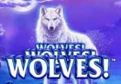 Slots - wolves wolves wolves playtech