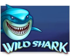 Slots - wild-shark-amatic