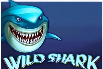wild-shark-amatic