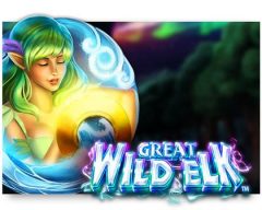 Slots - great-wild-elk slot review