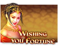 Slots - wishing-you-fortune wms