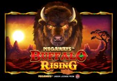 Slots - Buffalo Rising Megaways slot review