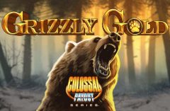 Slots - Grizzly Gold Blueprint