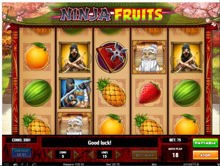 Play n Go Ninja Fruits gokkast