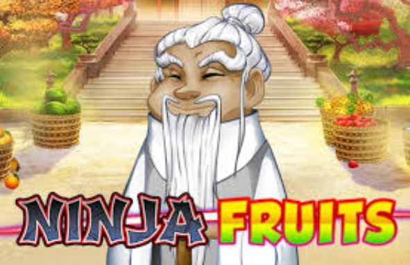 Play n Go - Ninja Fruits slot review