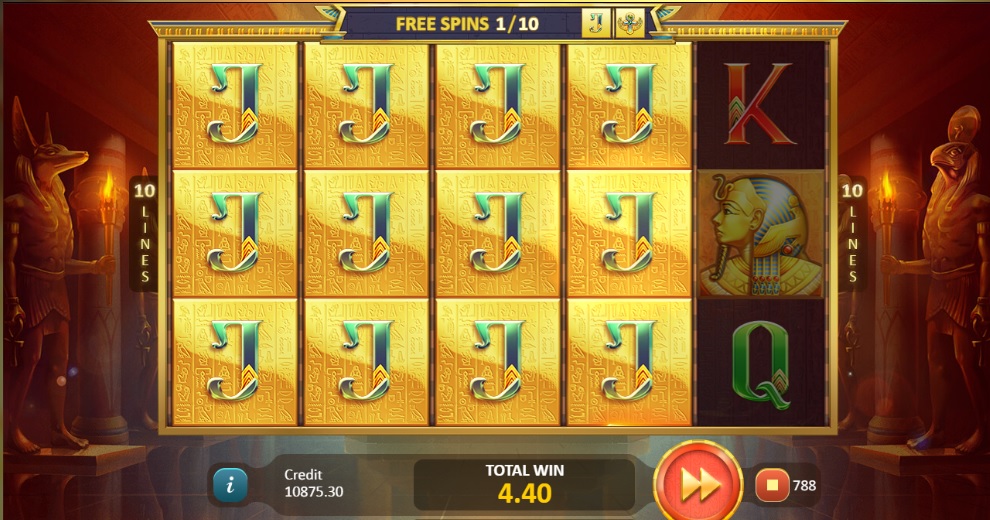 Playson - Book of Gold Double Chance