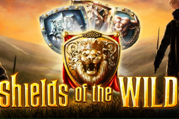 Shields of the wild gokkast review