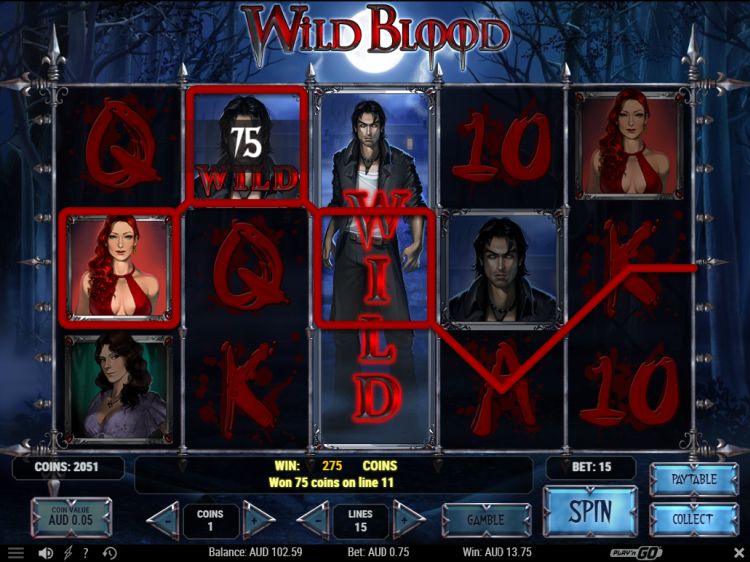Wild Blood Play'n GO slot review