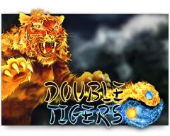 Slots - double-tigers-slot review