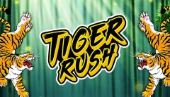 Slots - tiger-rush-thunderkick