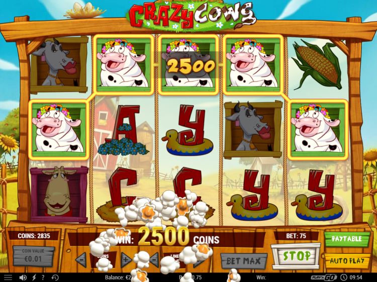 Crazy Cows slot review 