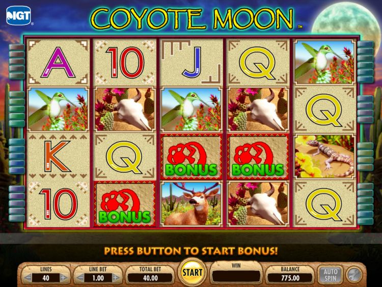 Coyote Moon IGT slot bonus
