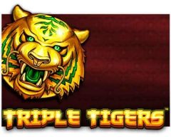 Slots - triple-tigers-slot review