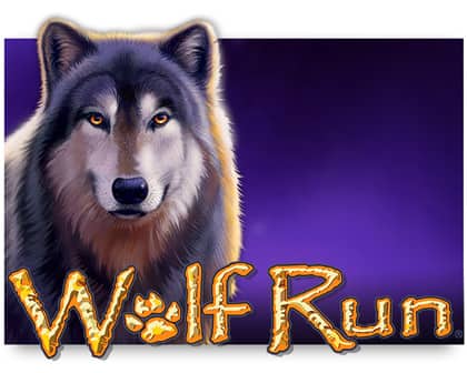 wolf-run-slot review