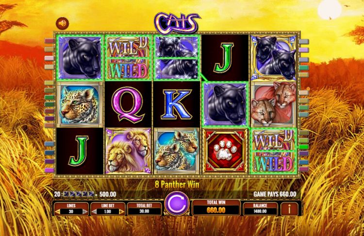 Cats slot review IGT 