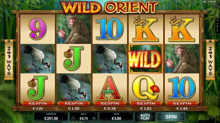 Wild Orient slot Microgaming 