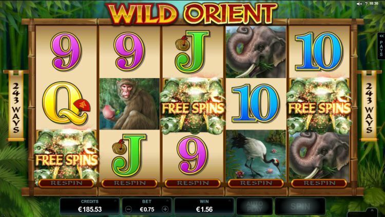 Wild Orient slot bonus win