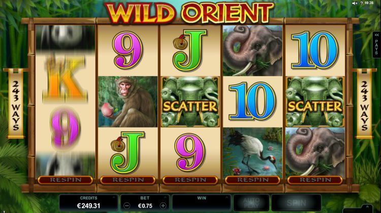 Wild Orient online gokkast review