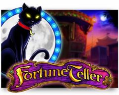 Slots - fortune-teller gokkast review play'n go