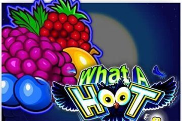 what-a-hoot microgaming