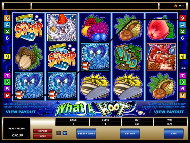What a Hoot slot