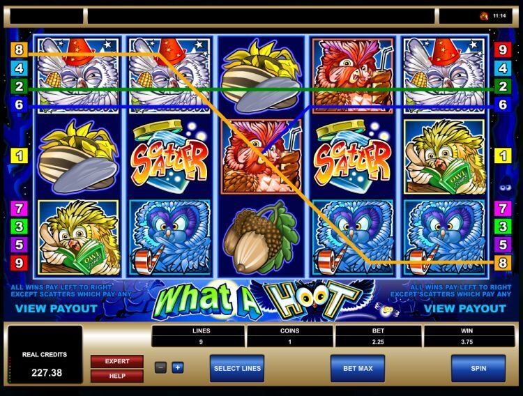 What a Hoot Microgaming slot review