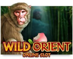 Slots - wild-orient gokkast microgaming