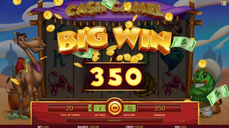 Cash Camel slot big win
