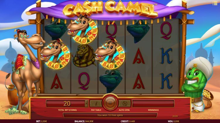 Cash Camel online slot bonus