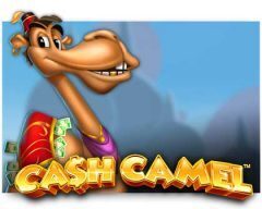 Slots - Cash Camel review isoftbet